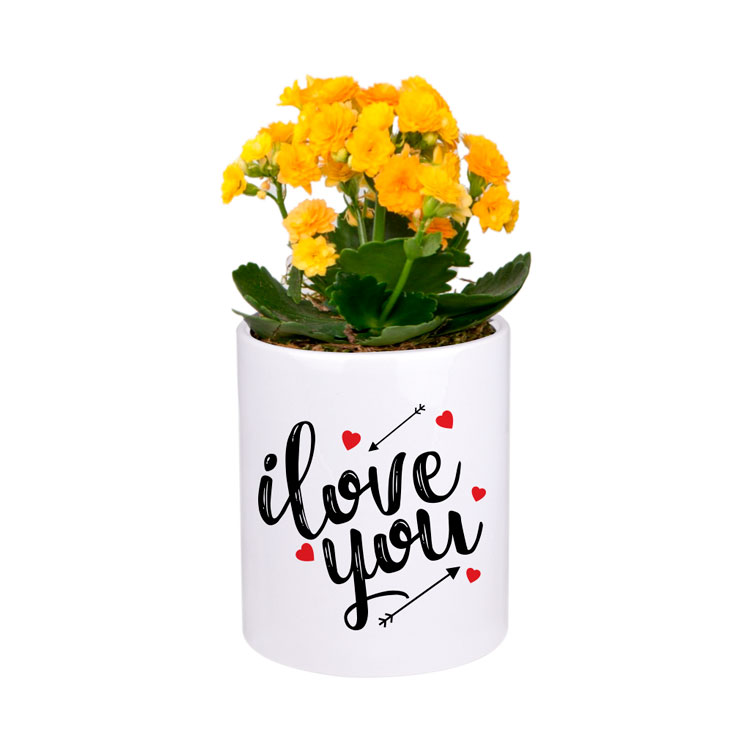 Çukurova Süblimasyon Porselen Kalemlik - Kutulu - AOO7 - Görsel 3