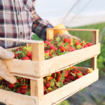 Babaeski reklam promosyon